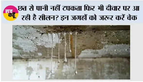 Damp wall solution: छत से पानी नहीं टपकता फिर भी दीवार पर आ रही है सीलन? इन जगहों को जरूर करें चेक