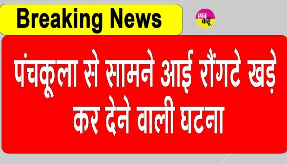 6 Year Old Girl Alleged Assaulted: पंचकूला सरकारी स्कूल में 6 वर्ष की बच्ची के साथ कथित मारपीट, Video Viral