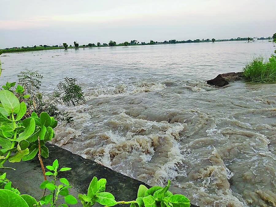 ड्रेन में बढ़ती जा रही दरार, 500 एकड़ फसल पानी में डूबी