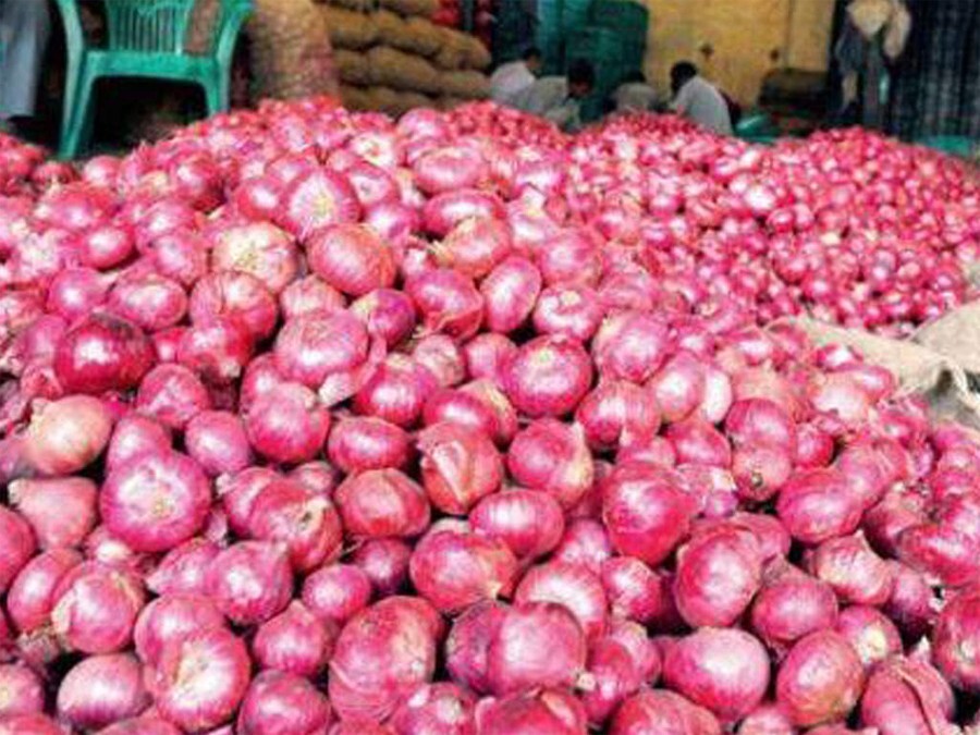 जयपुर में बहुत सस्ता होने वाला है प्याज, जाने क्या है वजह