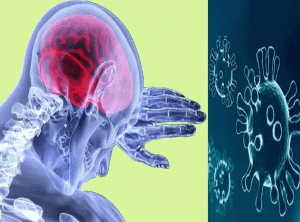Corona causing damage to lungs, heart and brain