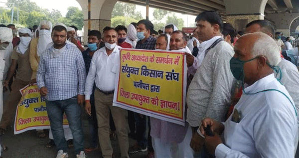 कृषि अध्यादेशों के नाम तक पता नहीं, किसान नेता बन समर्थन में निकाली रैली