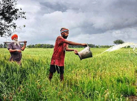 पंजाब सरकार के कृषि बिल बनाम कृषि संकट