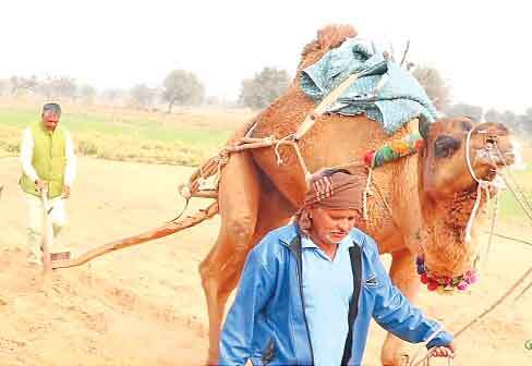 ‘खेती बाड़ी से मिला कामयाबी का मुकाम’