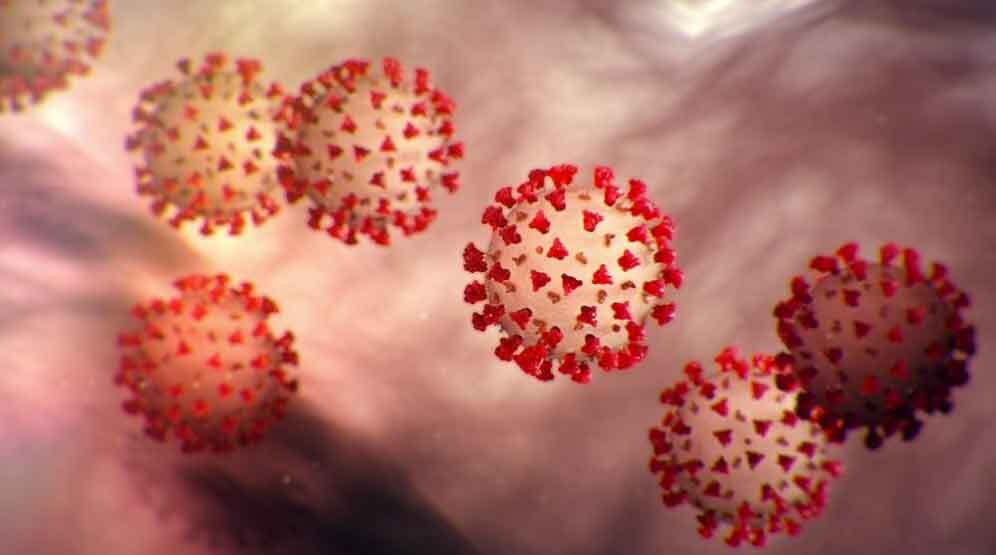 न्यूजीलैंड में कोरोना डेल्टा वेरिएंट के 215 नए सामुदायिक केस मिले