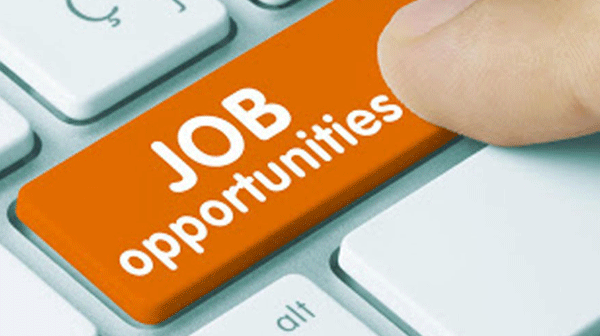 Assistant Librarian Recruitment: युवाओं के लिए खुशखबरी, सीजीपीएससी में लाइब्रेरियन पदों पर निकली वैकेंसी