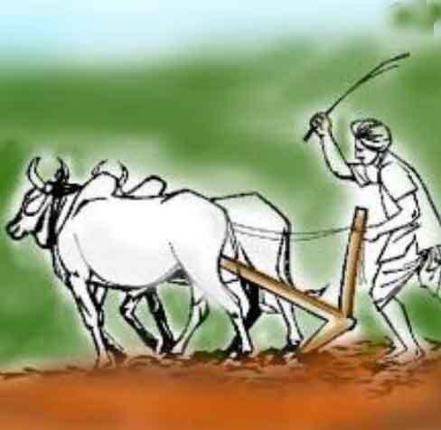 कविता : किसान का बेटा हूँ…