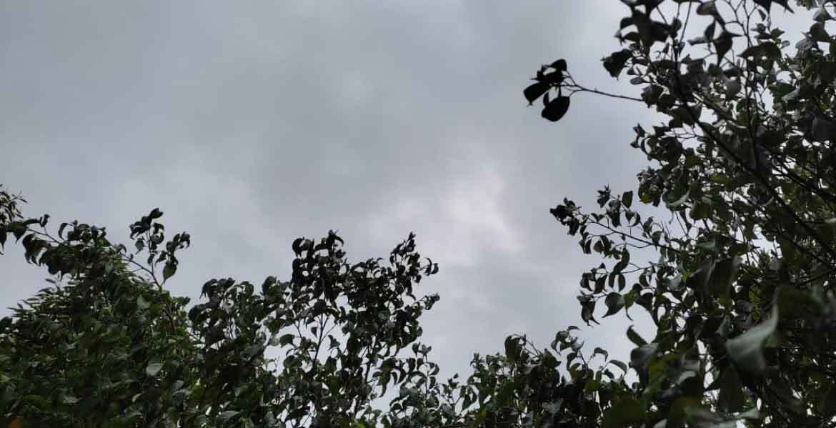 हरियाणा, दिल्ली में गर्मी, हिमाचल, महाराष्ट्र, छत्तीसगढ़ में हो सकती है बारिश