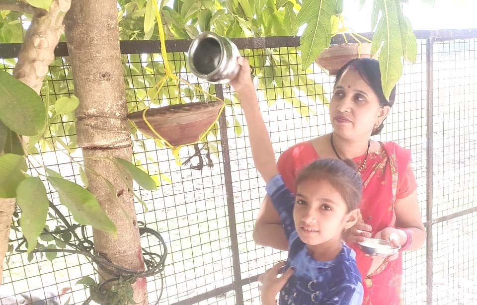 मध्य प्रदेश की साध-संगत ने पक्षियों के लिए किया दाना-पानी का प्रबंध, रखे सकोरे