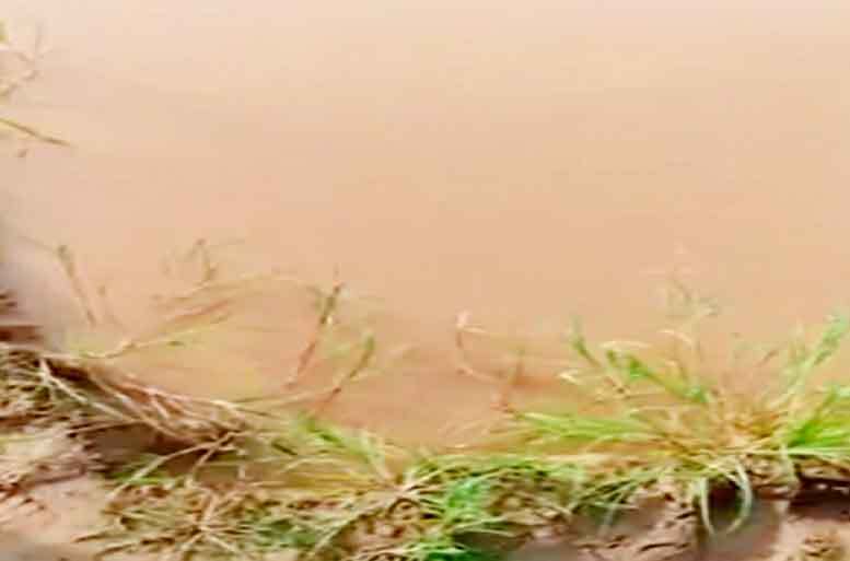 जयपुर में गड्ढे में भरे पानी में डूबने से दो बच्चों की मौत