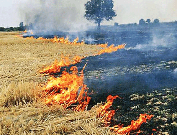 फसल अवशेषों को जलाने से रोकने को लेकर जागरुकता अभियान