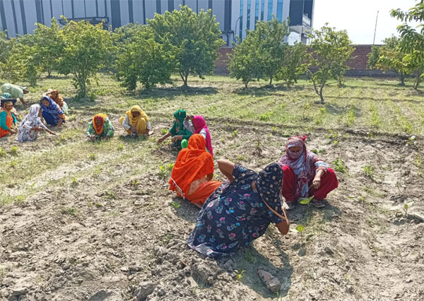 सोनीपत के डेरा श्रद्धालुओं ने बहालगढ़ नामचर्चा घर में की सेवा