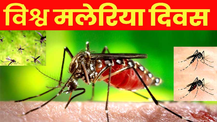 कब और क्यों मनाया जाता है विश्व मलेरिया दिवस, जानें लक्षण | World Malaria Day