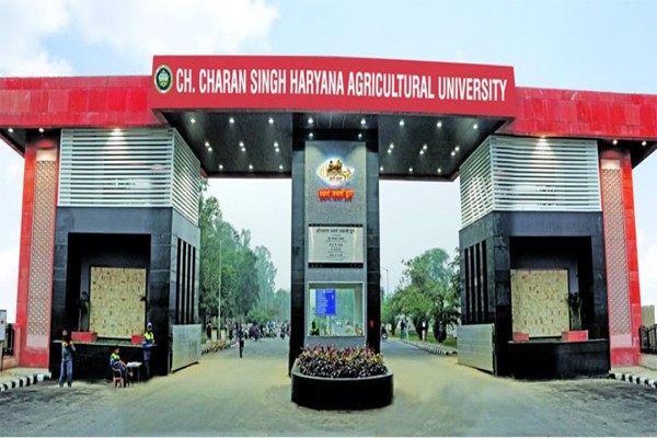 Chaudhary Charan Singh Haryana