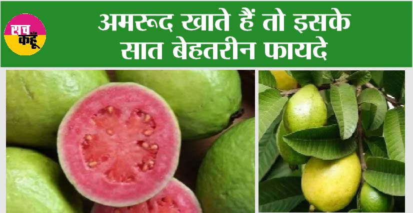 Health Benefits of Eating Guava: अमरूद खाते हैं तो इसके सात बेहतरीन फायदे भी जान लीजिए…