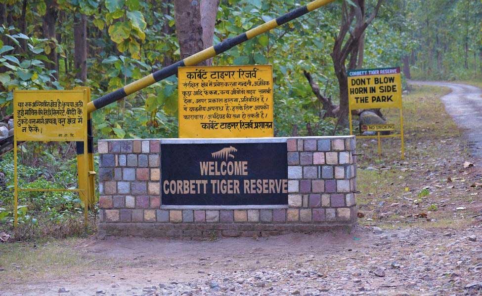 Uttarakhand News: अंतरराष्ट्रीय बाघ दिवस पर कार्बेट पार्क में मिला बाघ का शव