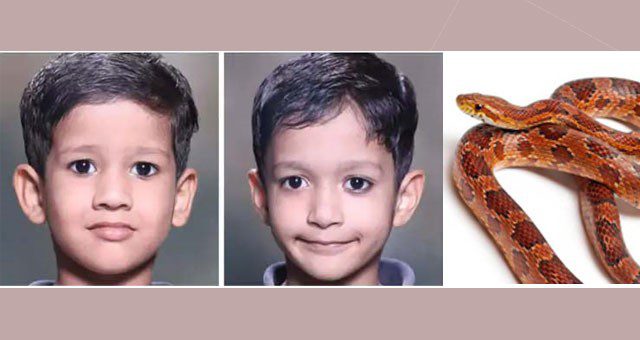 सांप के काटने से दो सगे भाइयों की मौत