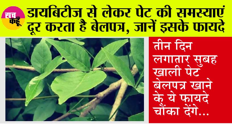 Bael Patra Benefits: गर्मियों में सुबह खाली पेट बेल पत्र खाने से मिलते हैं ये गजब के फायदे, इस तरह करें इसका सेवन