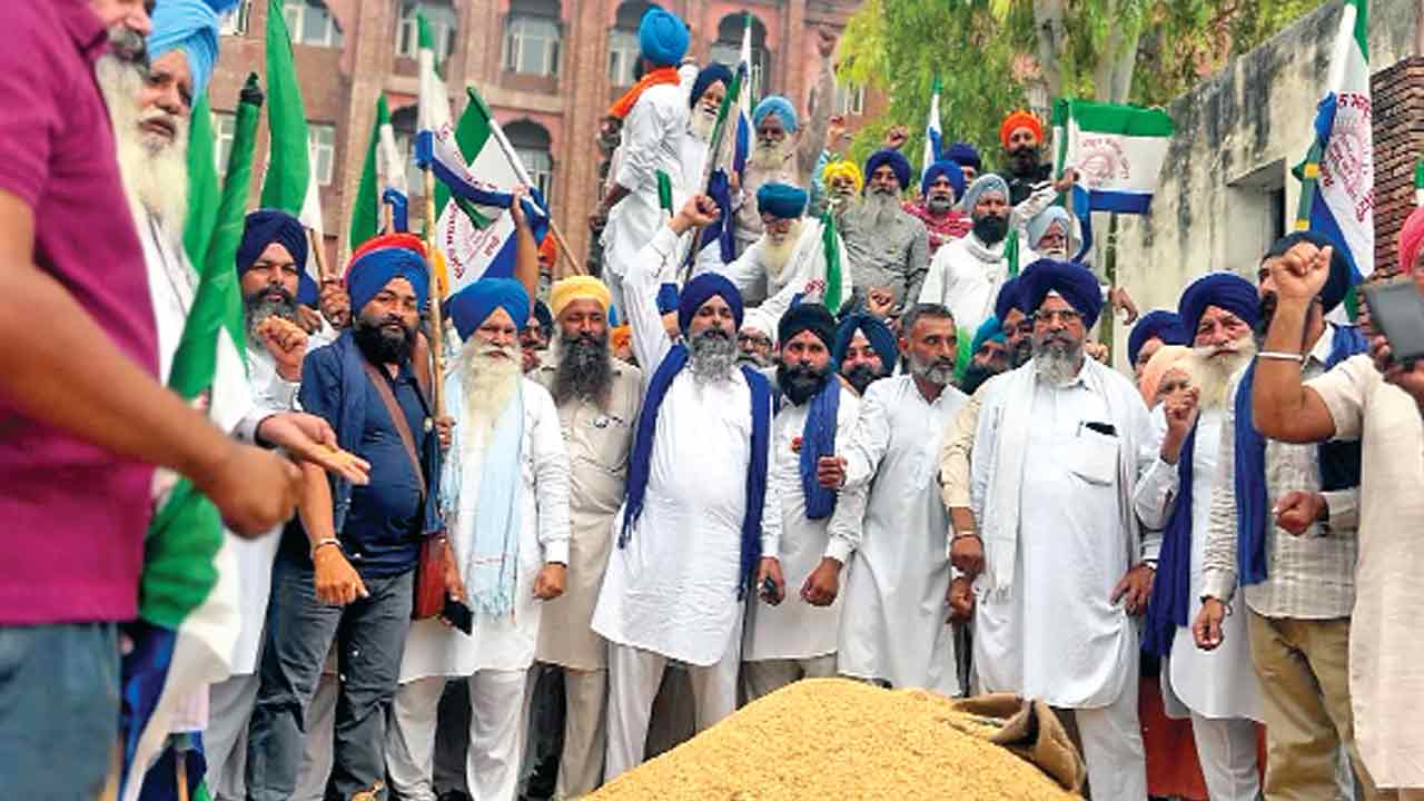 फसल की बेकद्री से परेशान किसानों ने अमृतसर की सड़कों पर बिखेरी बासमती