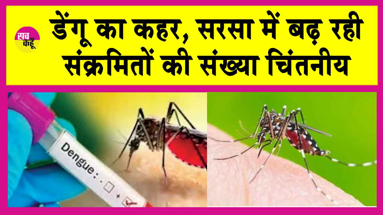Dengue Cases: सिरसा में फ़ैल रहा डेंगू का दंश! बढ़ रहे हैं संक्रमित!