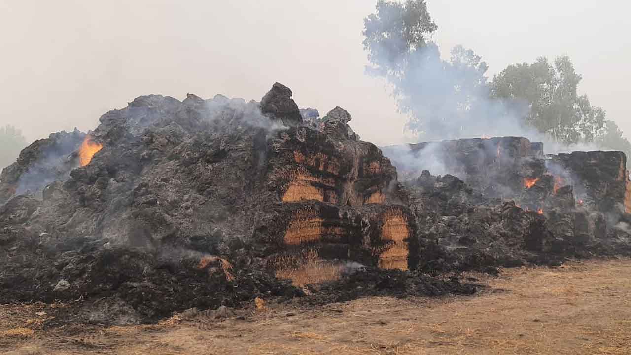 पराली की गांठों में लगी भीषण आग, 12 लाख का नुक्सान