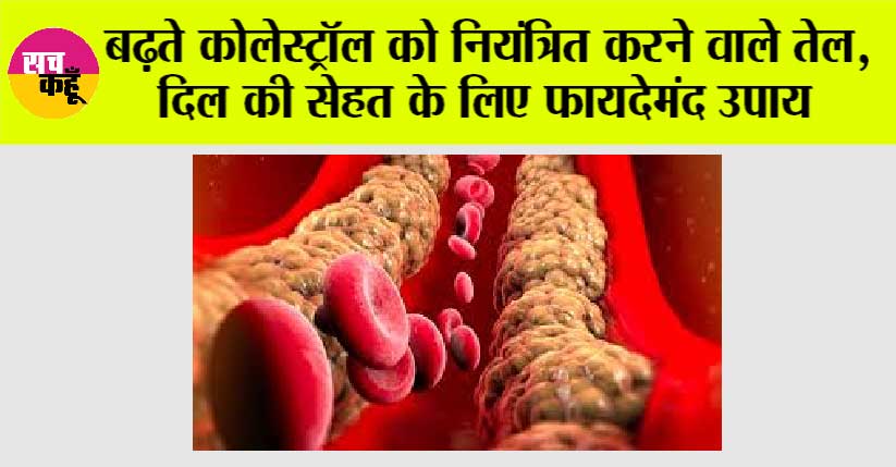 Cholesterol: बढ़ते कोलेस्ट्रॉल को नियंत्रित करने वाले तेल, दिल की सेहत के लिए फायदेमंद उपाय