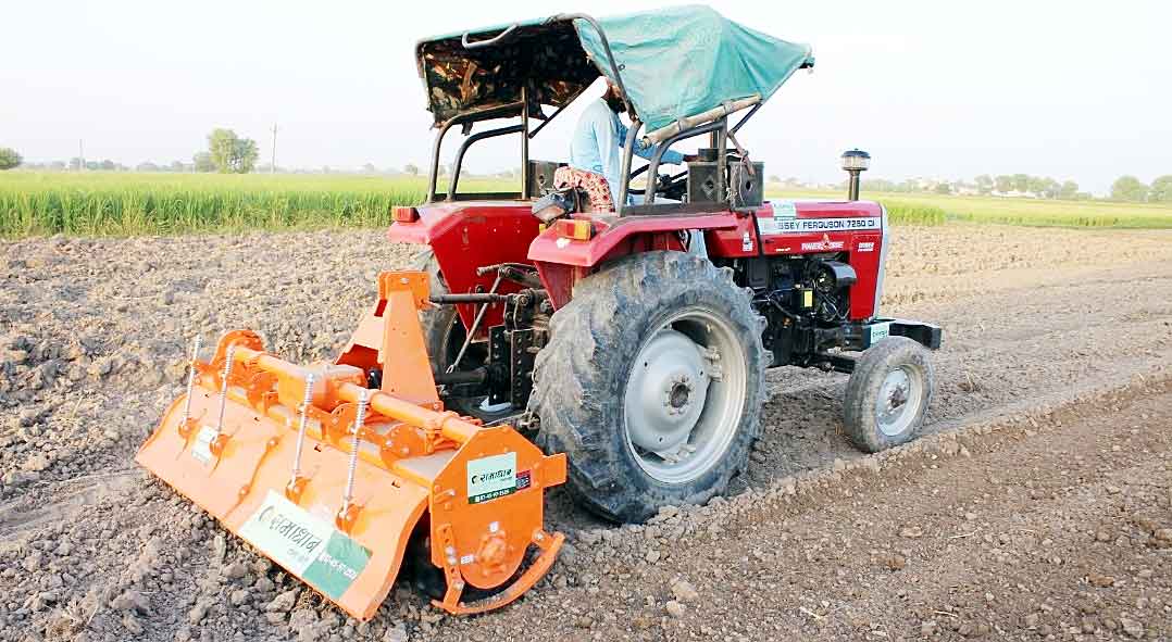 Farmers News: किसानों के लिए खुशखबरी! धान की बिजाई करने पर सीधे खातों में आएँगे 4500 रुपए