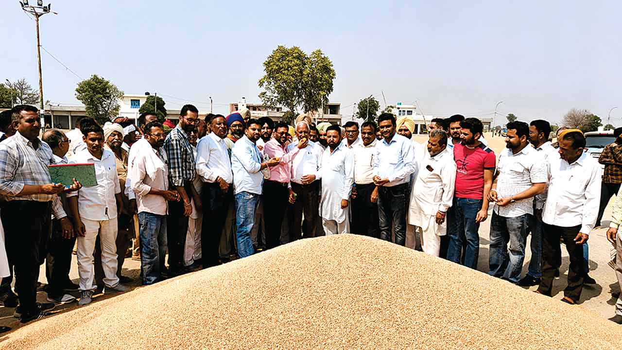कैबिनेट मंत्री बरिन्द्र गोयल ने मूनक में गेहूँ की सरकारी खरीद करवाई शुरू