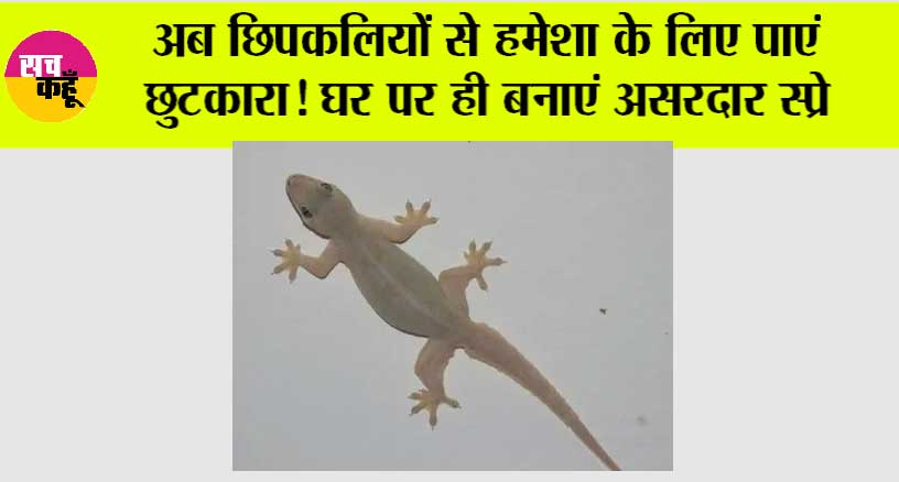 Chipkali Bhagane ke Upay: अब छिपकलियों से हमेशा के लिए पाएं छुटकारा! घर पर ही बनाएं असरदार स्प्रे