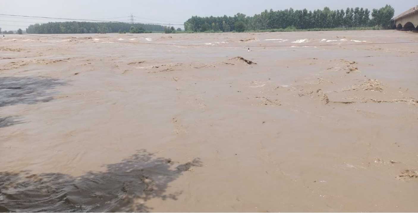 यमुना में छोड़ा गया 11,225 क्यूसेक जल, खतरा नही