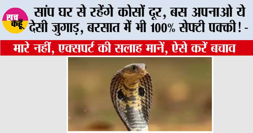Snake News: सांप घर से रहेंगे कोसों दूर, बस अपनाओ ये देसी जुगाड़, बरसात में भी 100% सेफ्टी पक्की! –