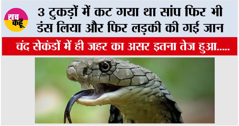 Snake News: 3 टुकड़ों में कट गया था सांप फिर भी डंस लिया और फिर लड़की की गई जान