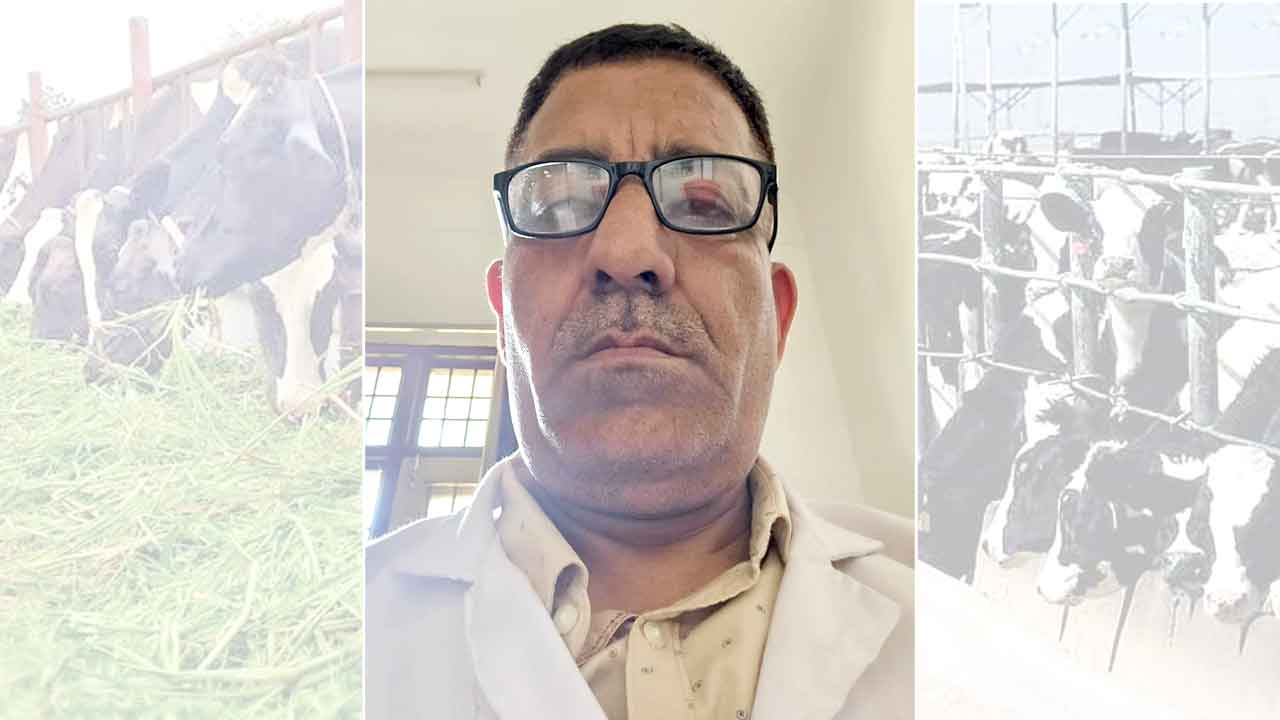 पशुपालन विभाग ने जारी की विशेष एडवाइजरी, गर्मी में पशुओं का रखें ख्याल