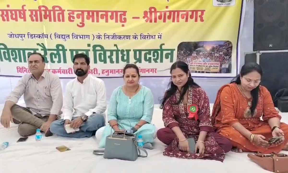 Electricity-Privatization-Today