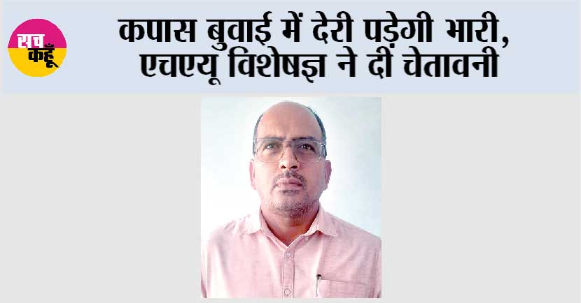 कपास बुवाई में देरी पड़ेगी भारी, एचएयू विशेषज्ञ ने दी चेतावनी