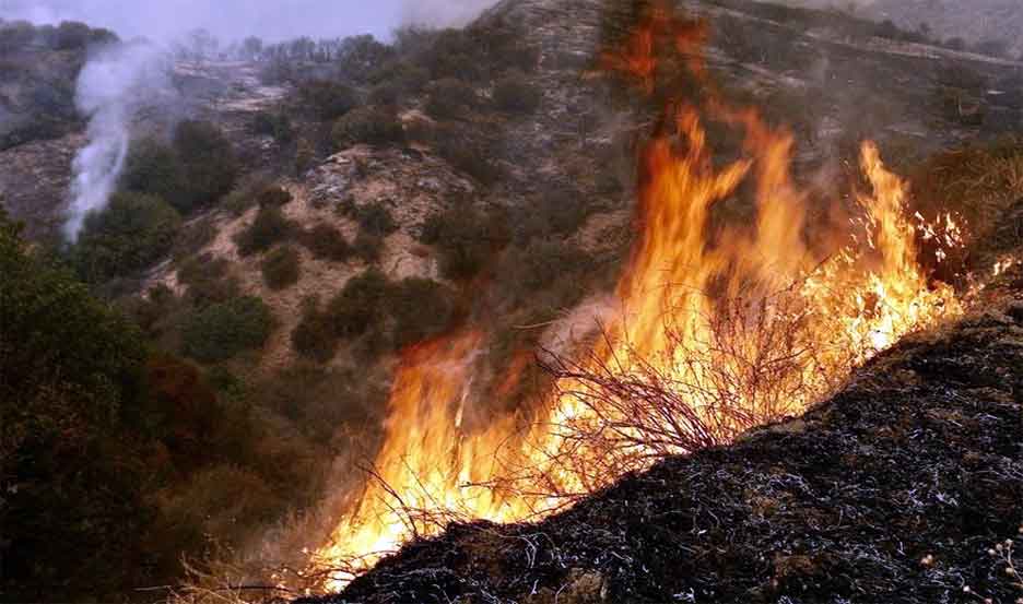 Northern Japan Wildfires: जापान के जंगलों में तेजी से फैल रही आग, काबू पाना हो रहा काफी मुश्किल