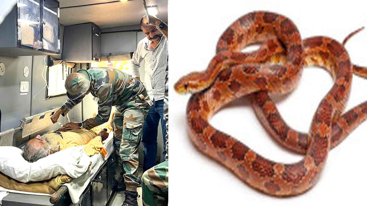 Snake News: गर्मी बढ़ते ही घरों तक पहुंच रहे सांप, केरल में सांप डसने की घटनाओं में अचानक उछाल