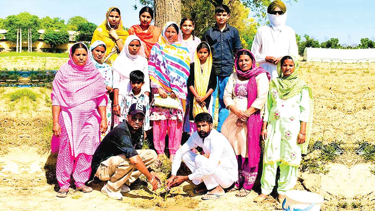 ब्लॉक मसीतां में अस्थियों से परोपकार! सचखंडवासी जरनैल कौर इन्सां को भावभीनी श्रद्धांजलि