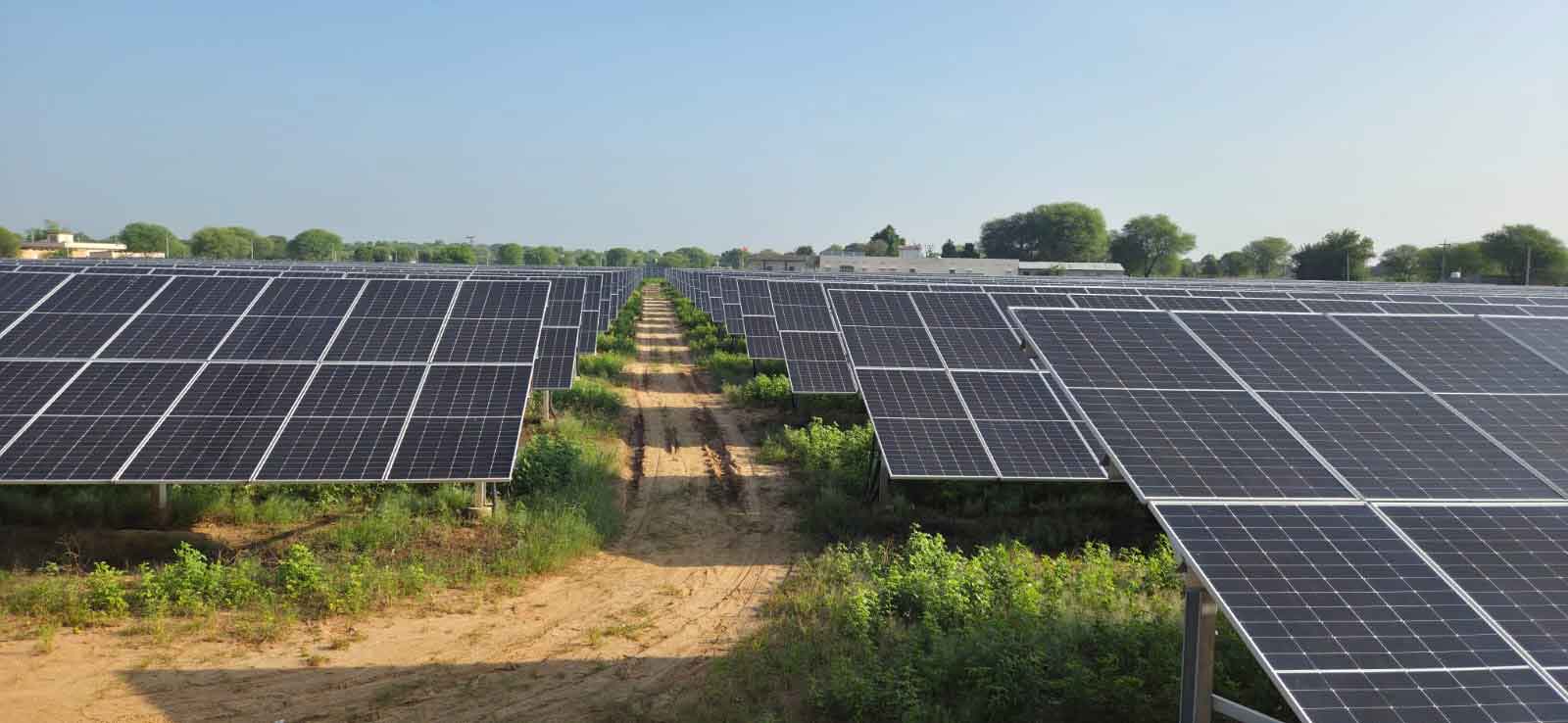 PM-KUSUM Yojana: 4 हजार मेगावाट के स्तर पर पहुंची पीएम-कुसुम परियोजनाएं 