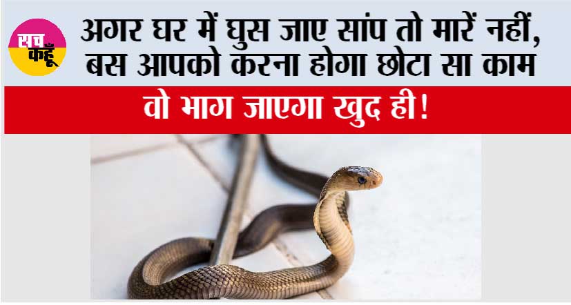 Snake News: अगर घर में घुस जाए सांप तो मारें नहीं, बस आपको करना होगा छोटा सा काम वो भाग जाएगा खुद ही!
