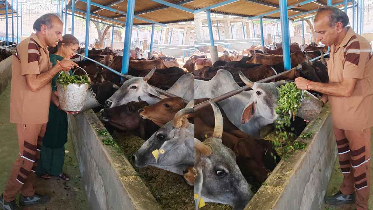 ऐसे मनाया ब्लॉक डबवाली के इस सेवादार ने अपना जन्मदिन!