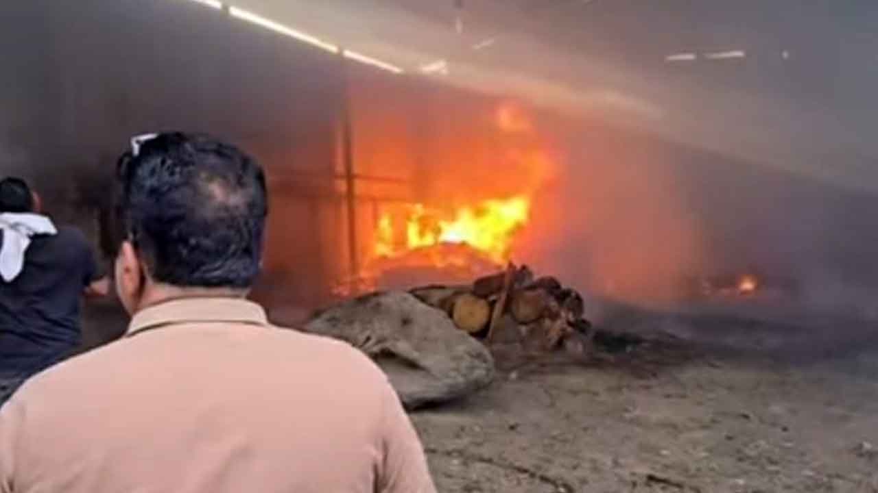 Fire: प्लाईवुड फैक्ट्री में लगी आग से लाखों का नुकसान