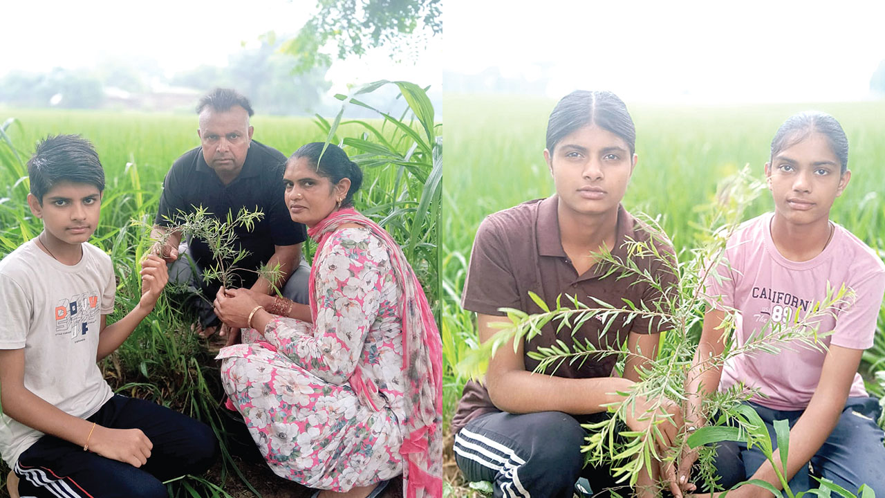 Barnala News