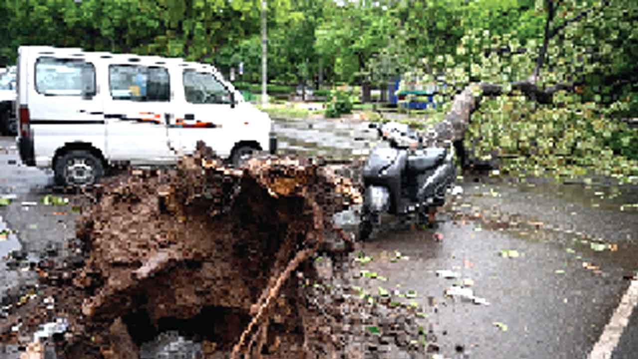 Heavy Rain: मोहाली, चंडीगढ़ सहित पंचकूला में तूफान व बारिश ने मचाई भारी तबाही