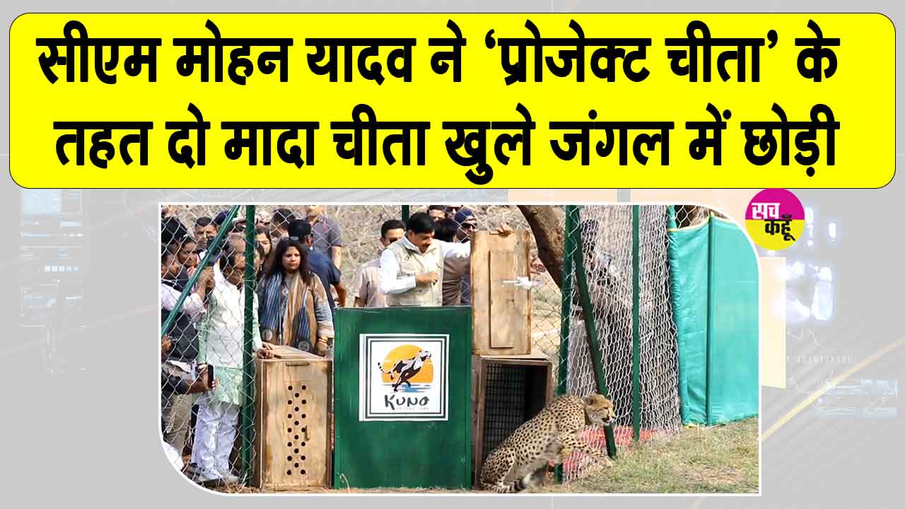 Kuno National Park News: मुख्यमंत्री मोहन यादव ने दो मादा चीता खुले जंगल में छोड़ी