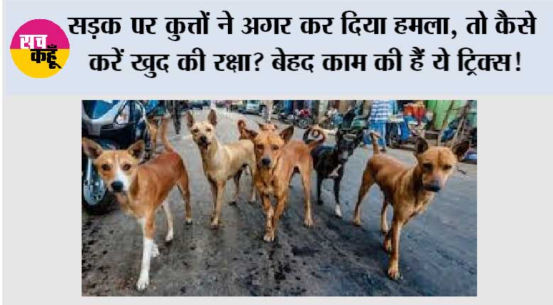 Dog httack Safety Tips: सड़क पर कुत्तों ने अगर कर दिया हमला, तो कैसे करें खुद की रक्षा? बेहद काम की हैं ये ट्रिक्स!