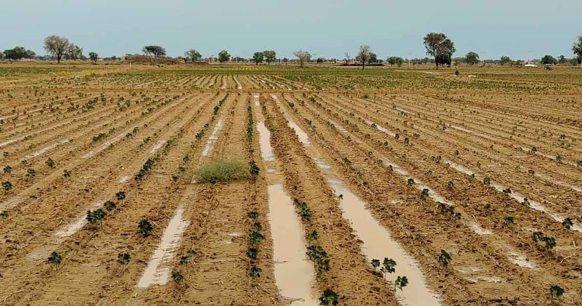 Farm-Barish