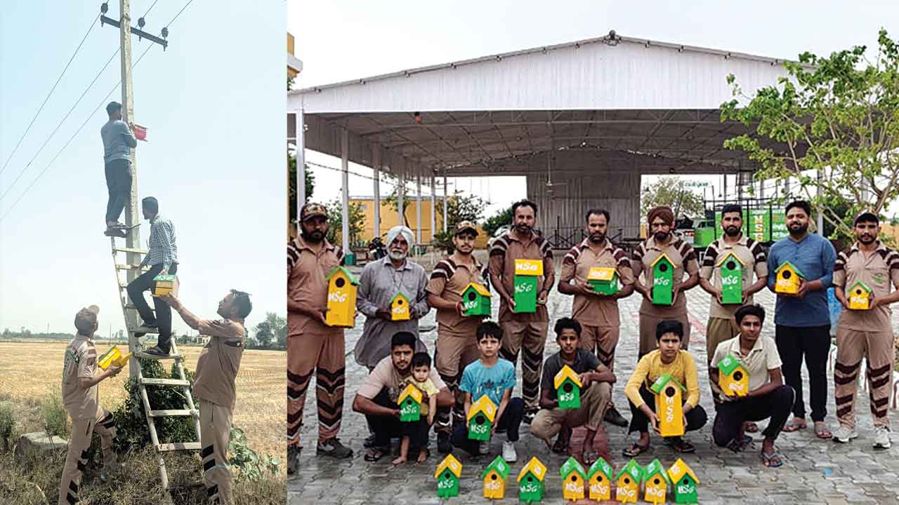 Bird Nurturing Campaign: ब्लॉक गोबिंदगढ़ जेजियां के डेरा श्रद्धालुओं ने पक्षियों के लिए बांधे परिंडे 