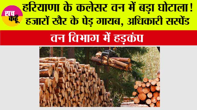 Haryana Environment News: हरियाणा के कलेसर वन में बड़ा घोटाला! हजारों खैर के पेड़ गायब, अधिकारी सस्पेंड