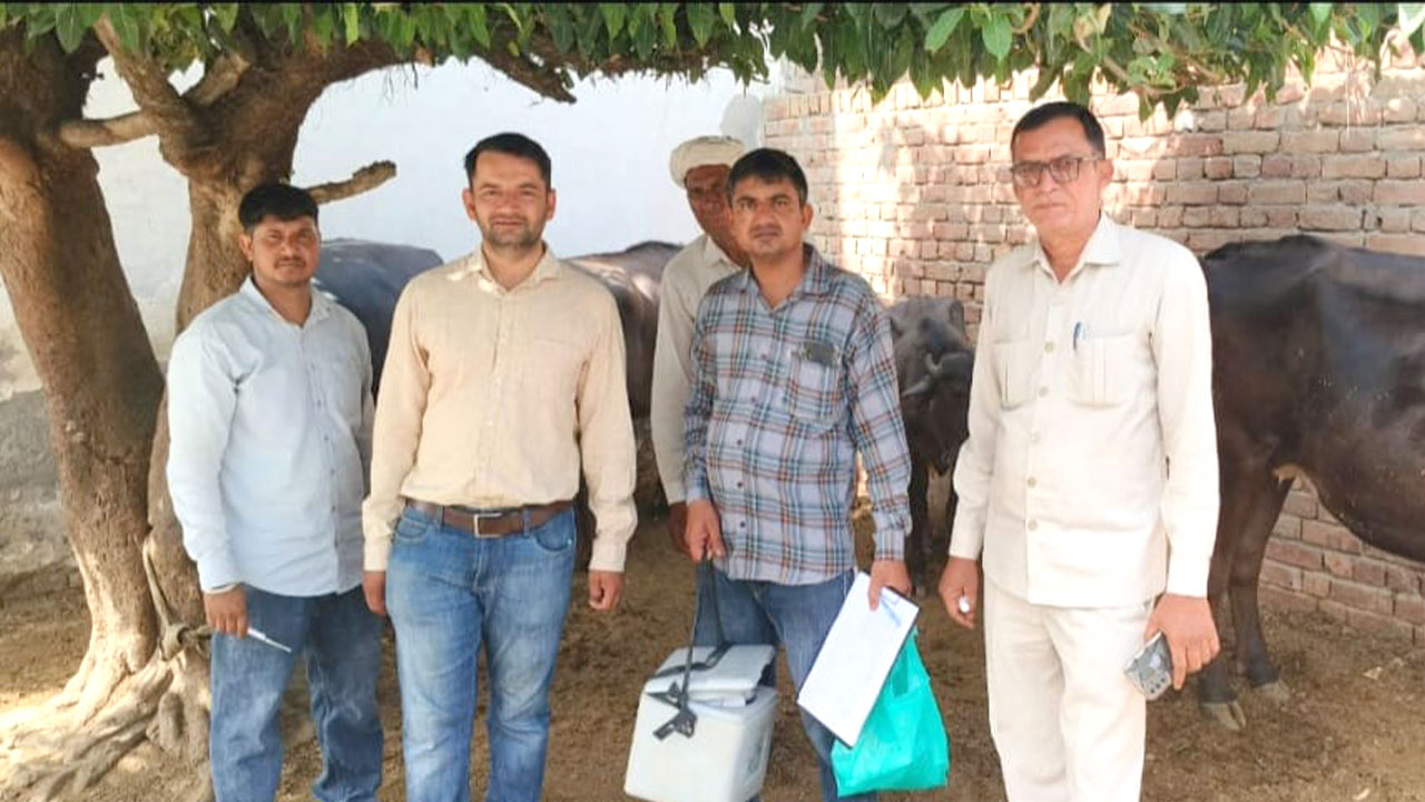 Jakhal News